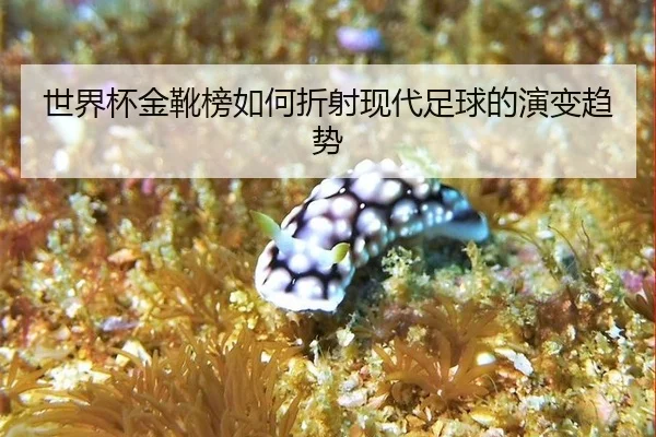 世界杯金靴榜如何折射现代足球的演变趋势